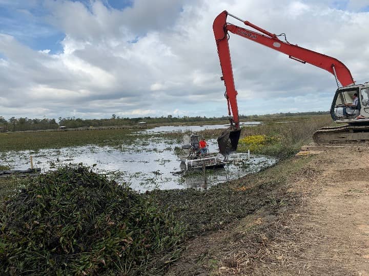 Water Hyacinth Control 2 small