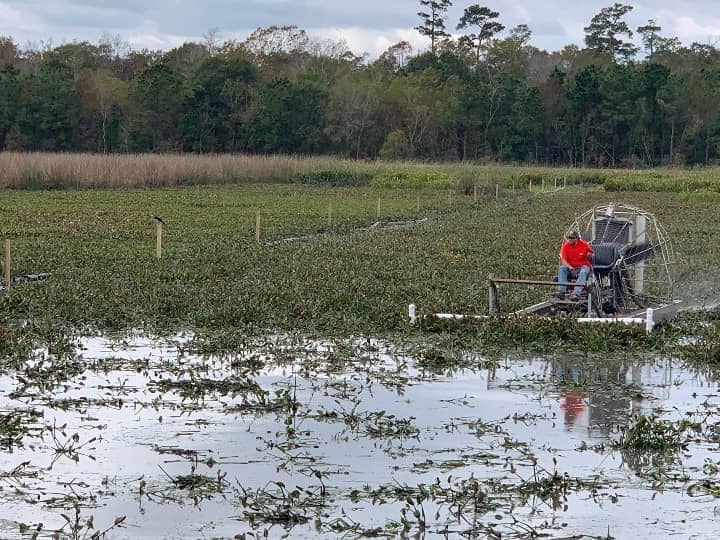 Water Hyacinth Control 6 small